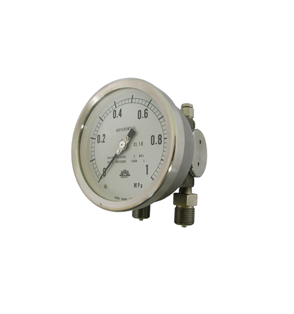 Differential Pressure Gauge